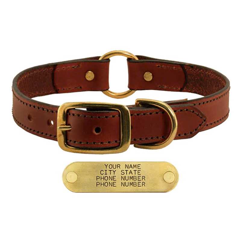 Leather Dog Collar with Nameplate G616