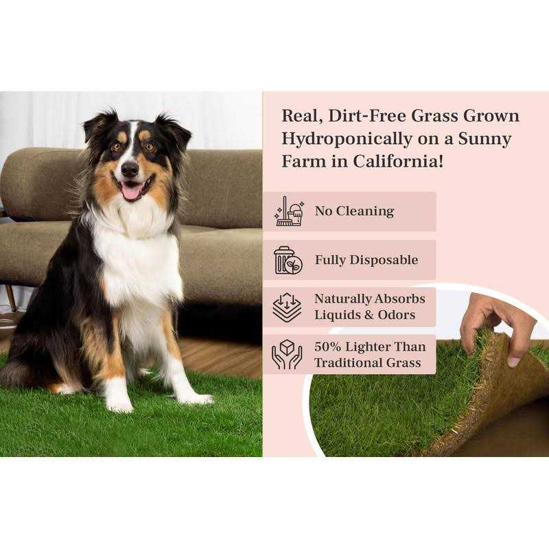 Real Grass Dog Potty T909556