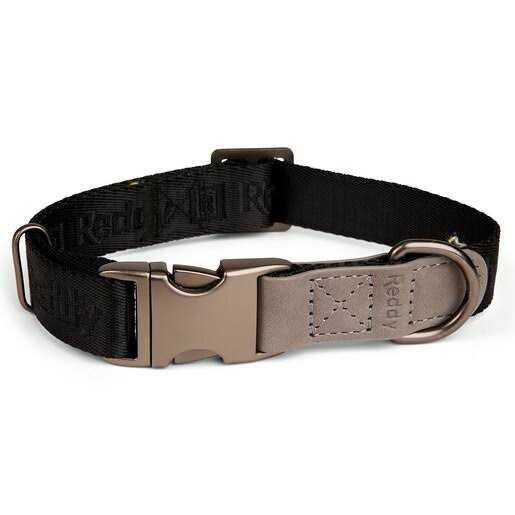 Dog Collar Q678
