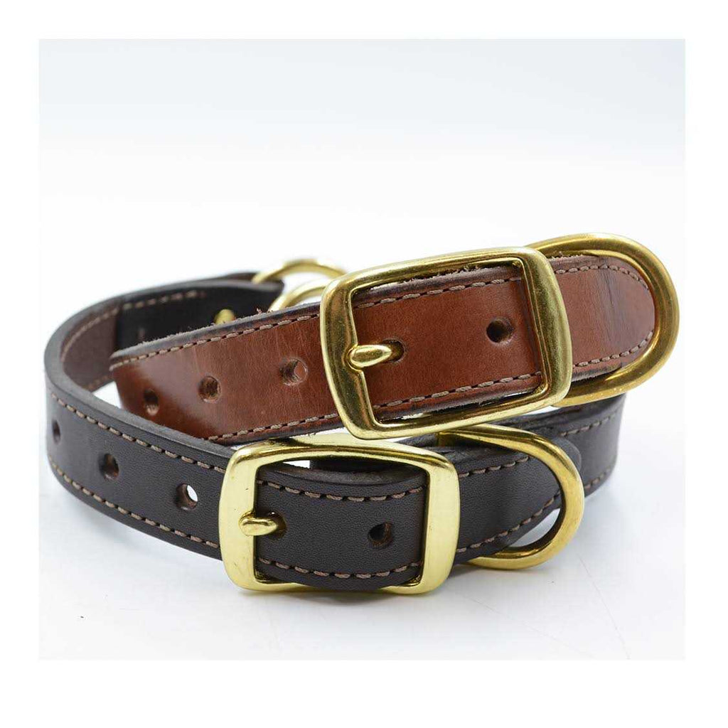 Leather Dog Collar with Nameplate G616
