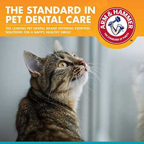 Fresh Breath Dental Kit for Cats X93938
