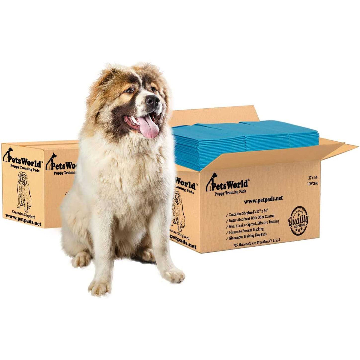 XXL Tear Resistant Pet Potty Pads G52873