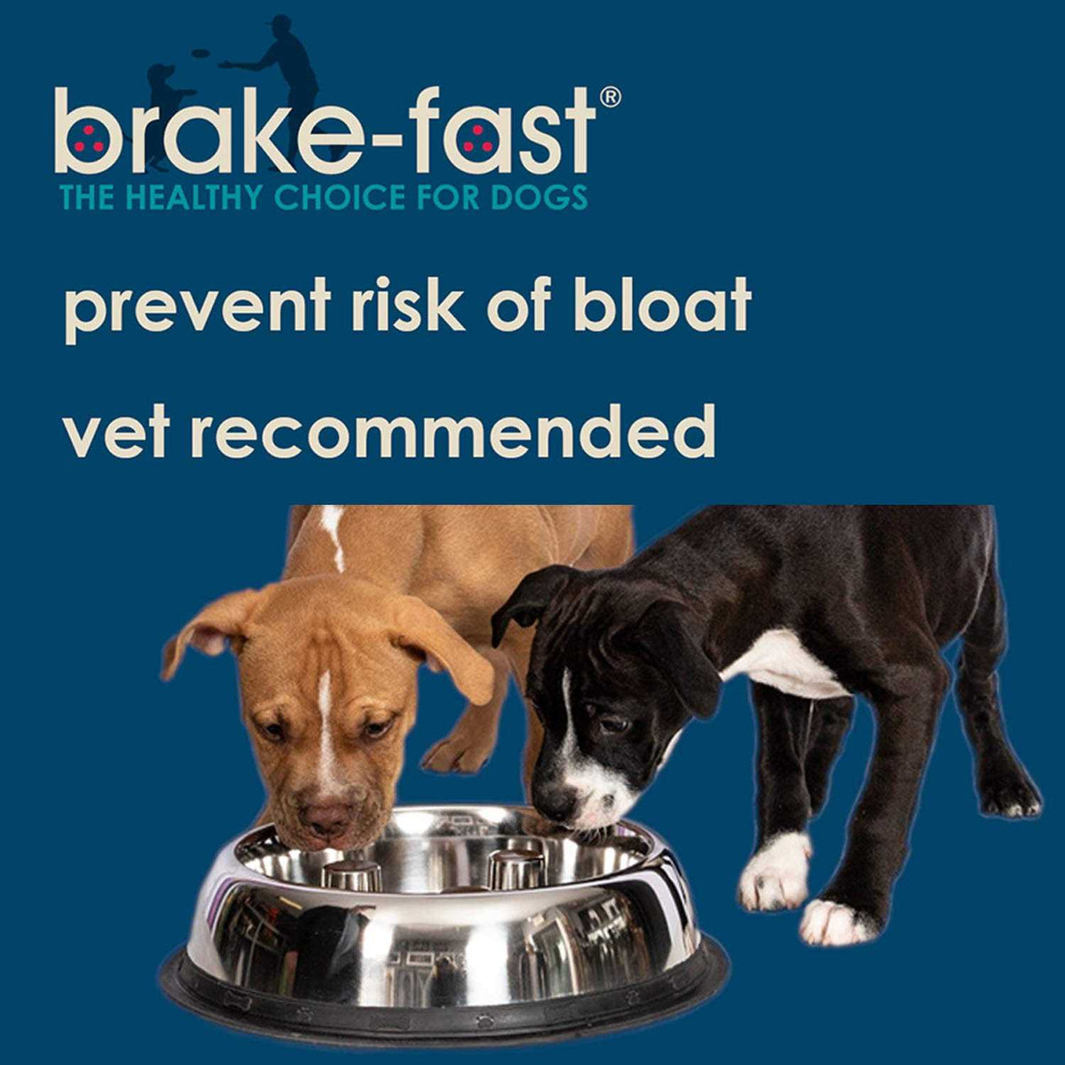 Stainless Steel Dog Bowl X59859