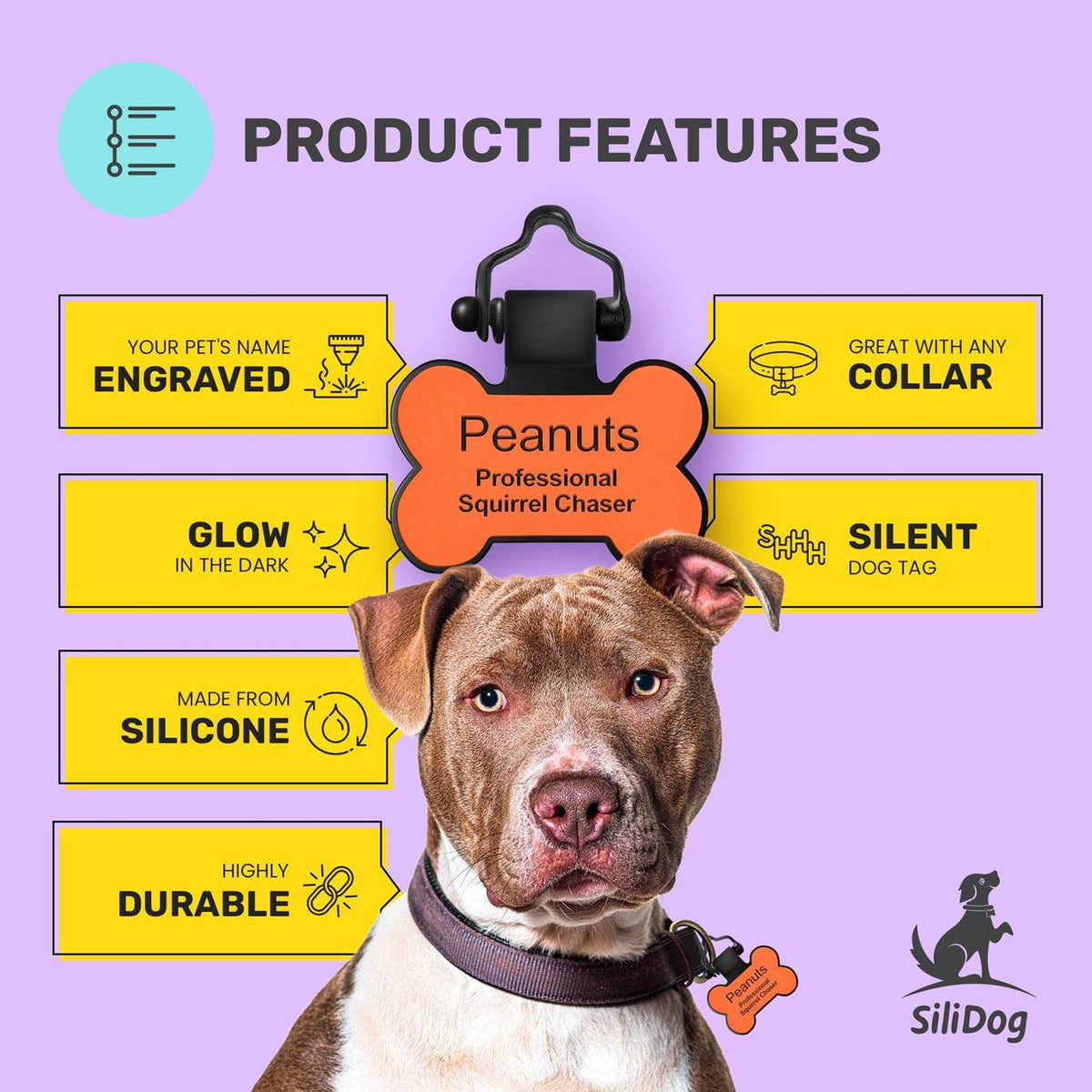 Personalized Silicone Pet ID Tag K9543