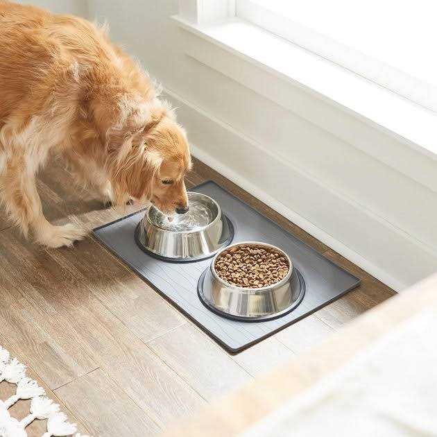 Silicone Dog & Cat Food Mat Q433