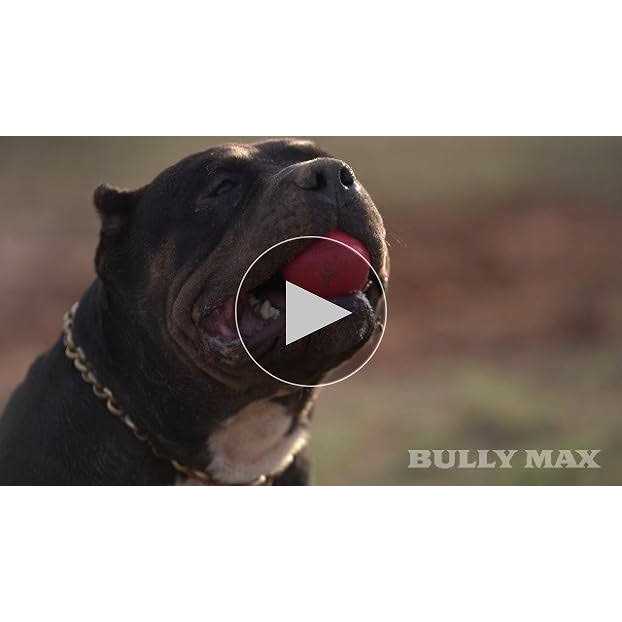 Dog Ball Toy for Aggressive Chewers L4729