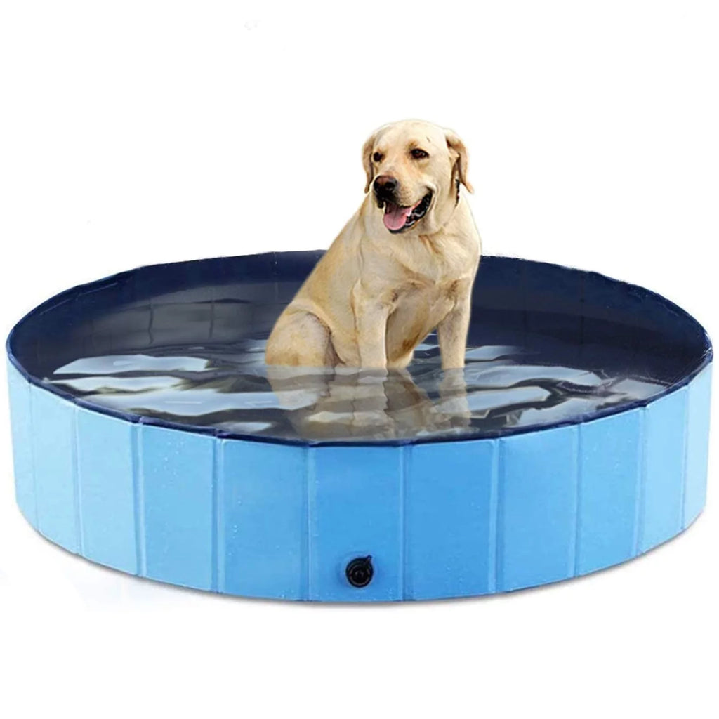 48 x 12 inch Collapsible Blue Pet Pool L348