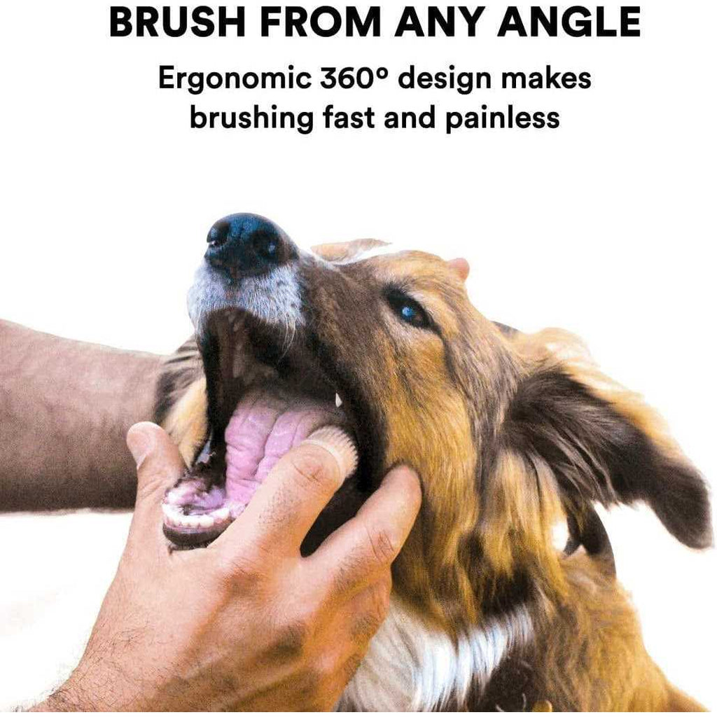 Dog Toothbrush K26922