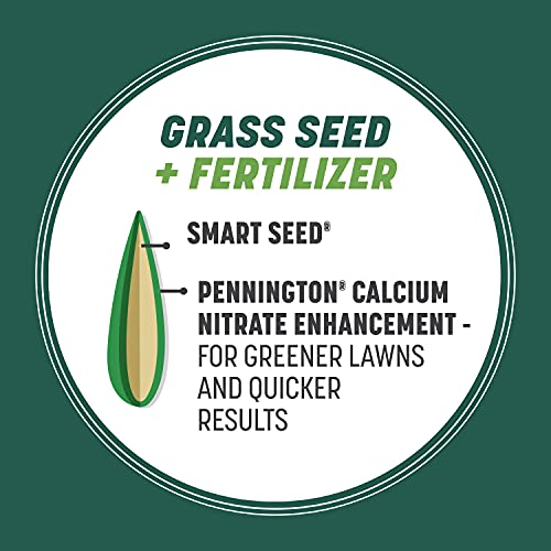 7 lb Tall Fescue Grass Seed Mix C32386
