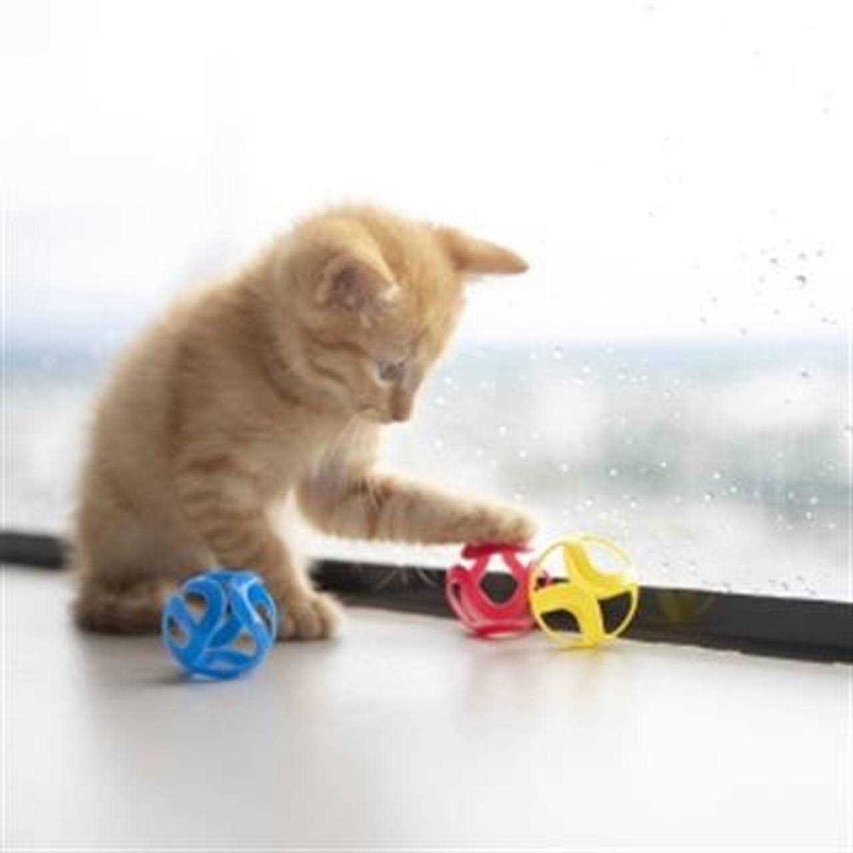 Cat Crazies Toy S92191