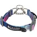 Patterned Reflective Chain Martingale Dog Collar R285