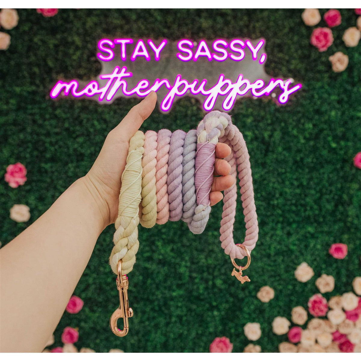 Dog Rope Leash G236113