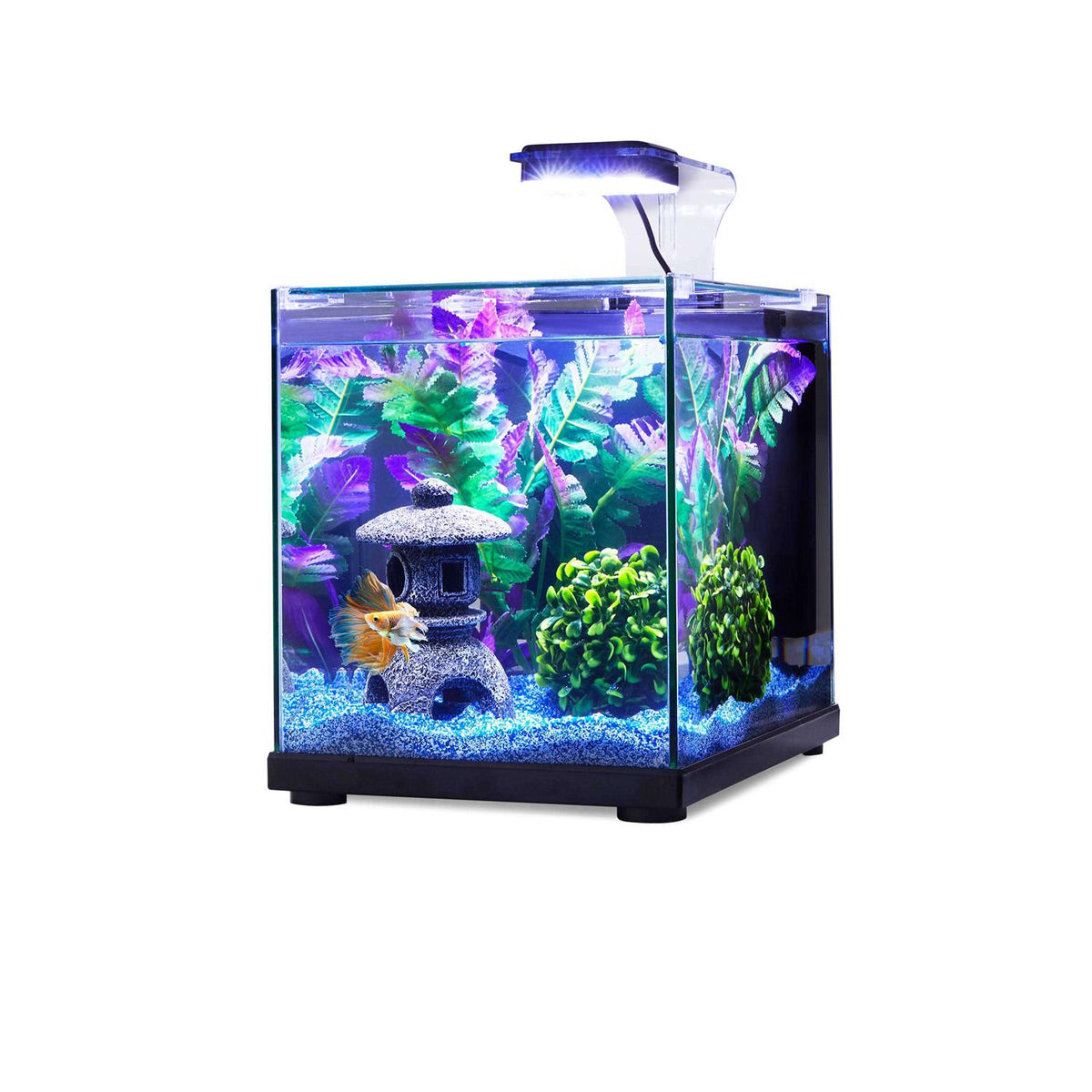 Glass Aquarium P26694