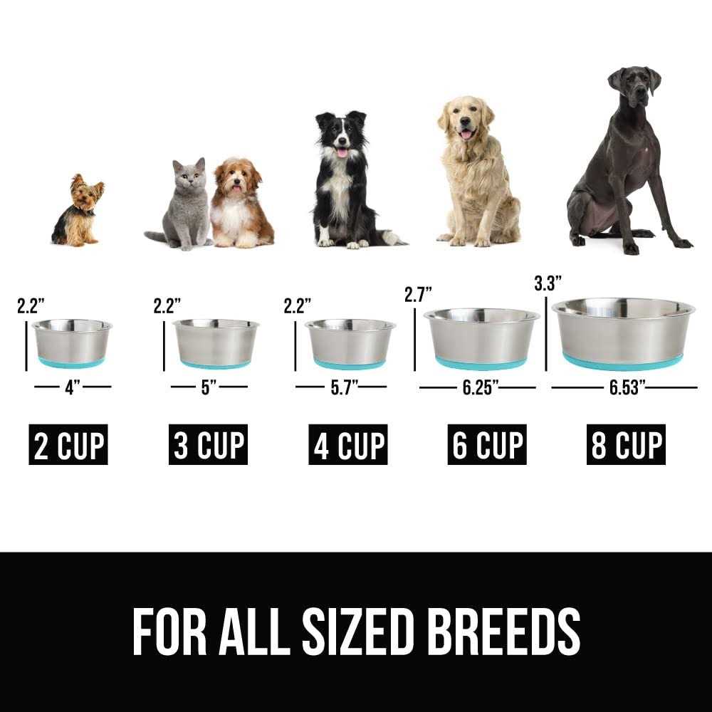 Stainless Steel Metal Dog Bowl Set of 2 with Rubber Base U330