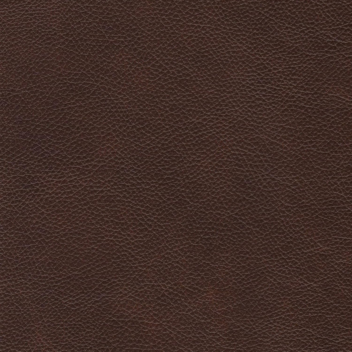 Brown Leather Sofa H449