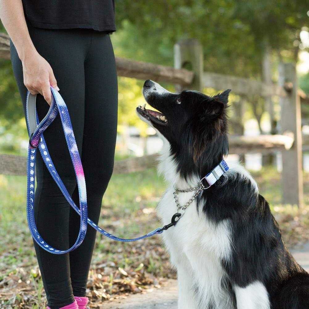 Patterned Reflective Chain Martingale Dog Collar R285