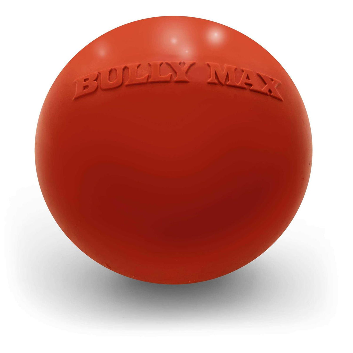 Dog Ball Toy for Aggressive Chewers L4729
