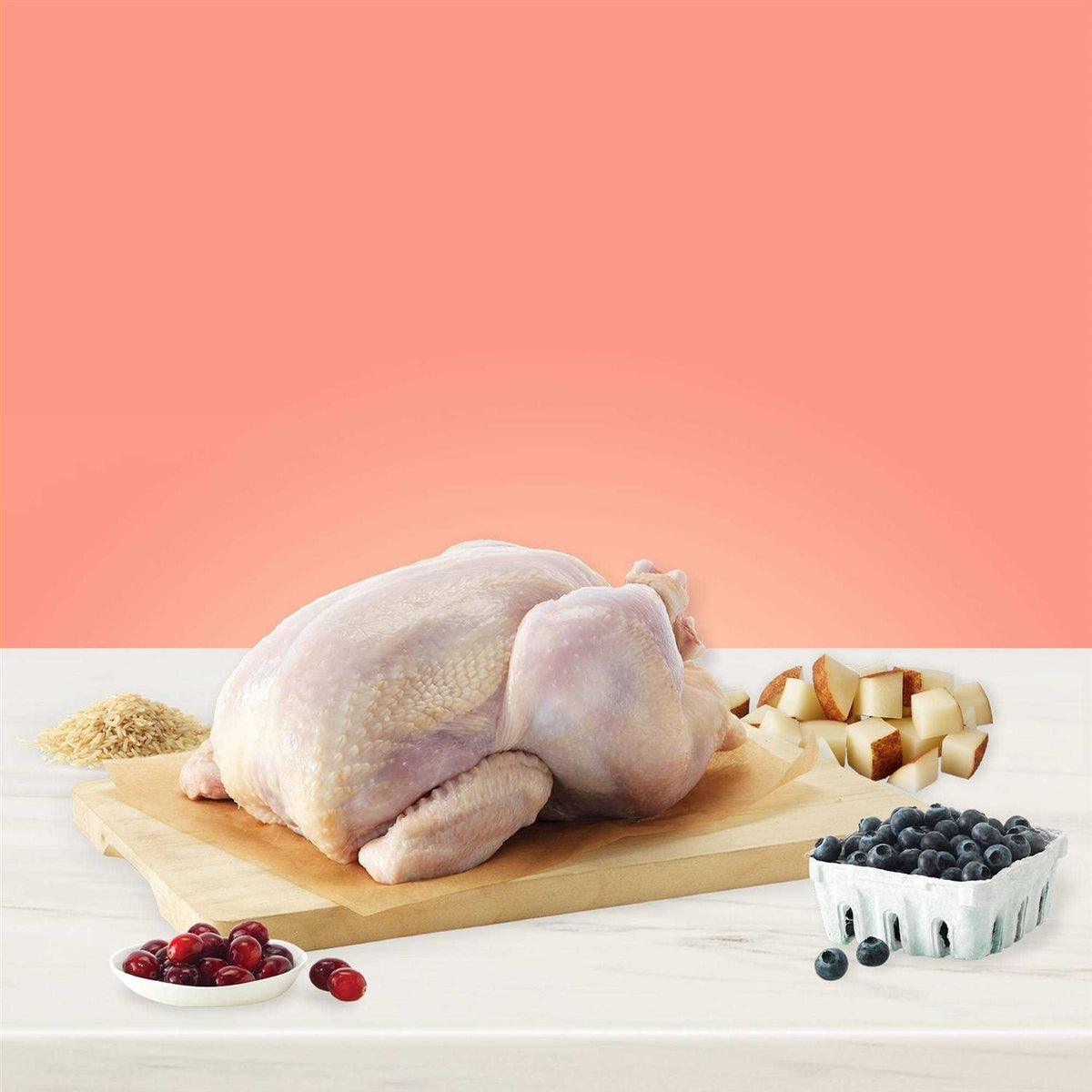 Chicken Adult Dry Dog Food E35199