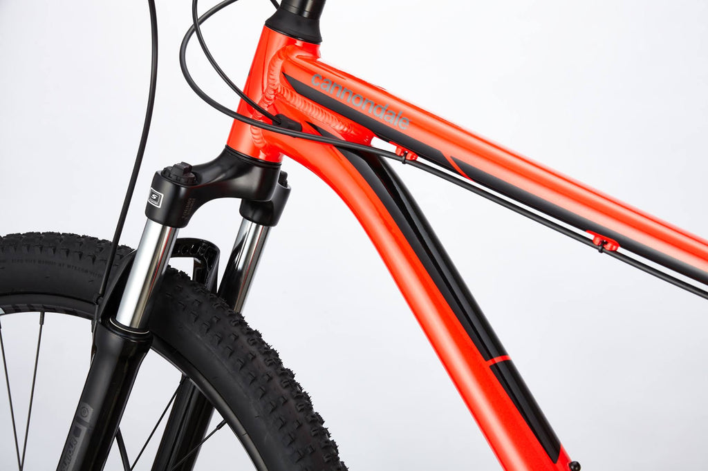 Midnight S Bike D2196