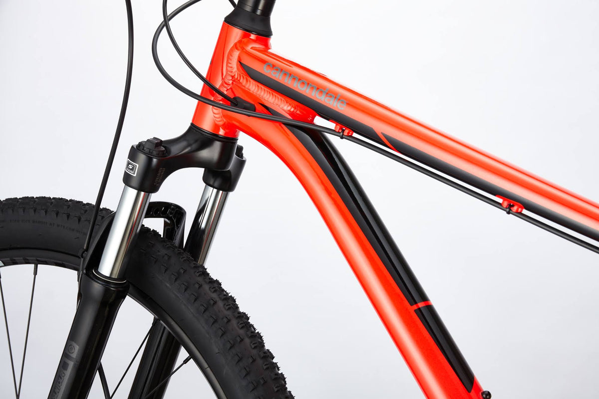 Midnight S Bike D2196