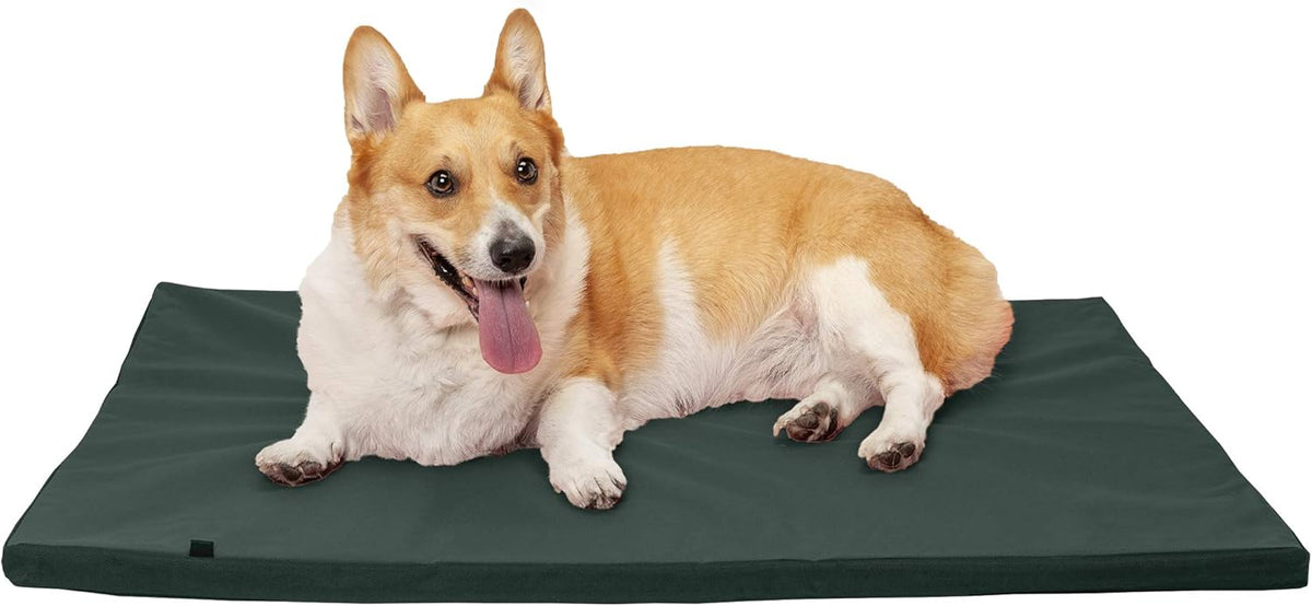 Water-Resistant Reversible Two-Tone Pet Bed Mat D57482