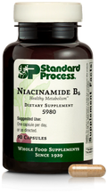 Niacinamide B6 90 Capsules B77137