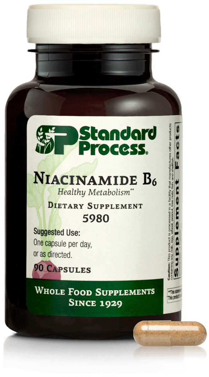 Niacinamide B6 90 Capsules B77137