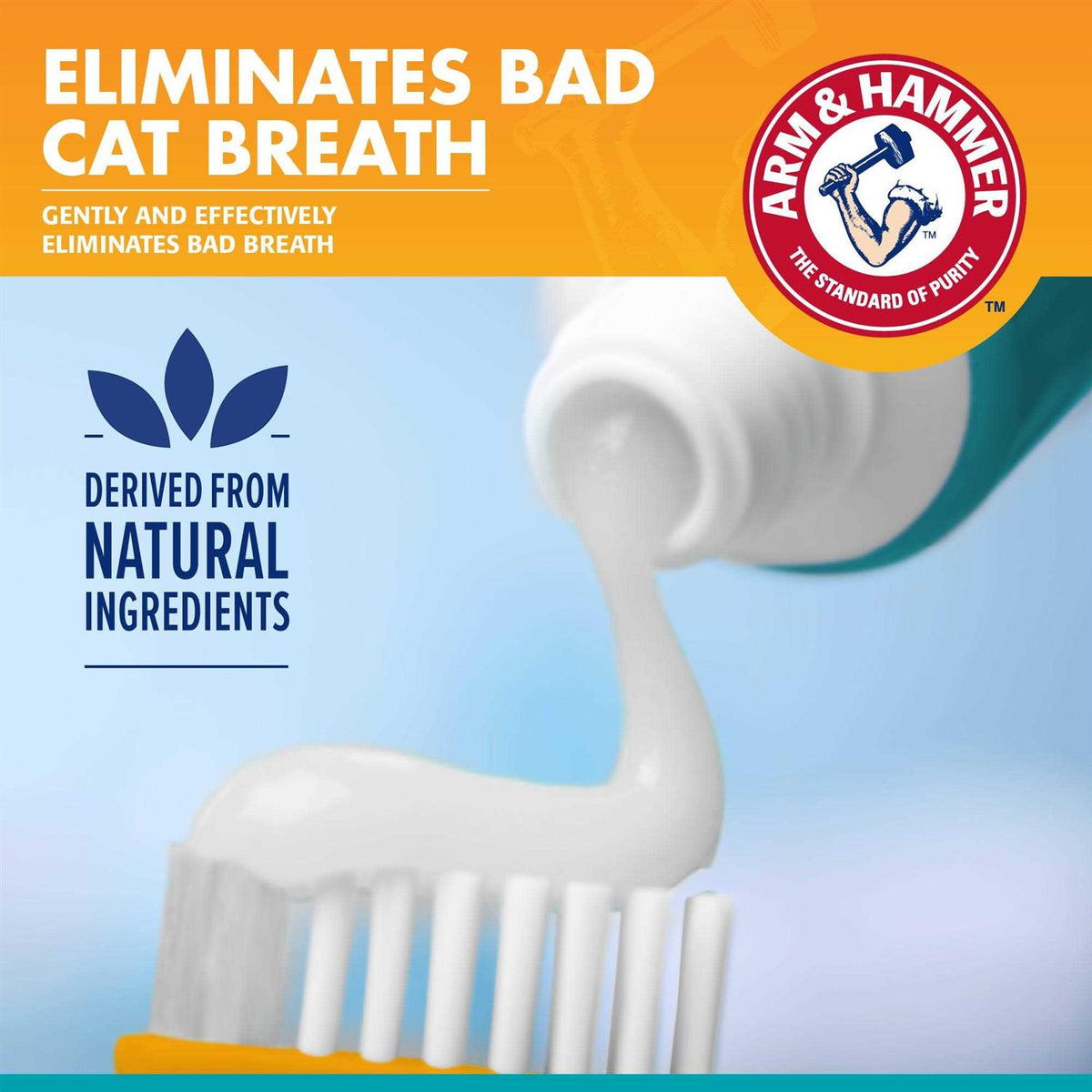 Fresh Breath Dental Kit for Cats X93938
