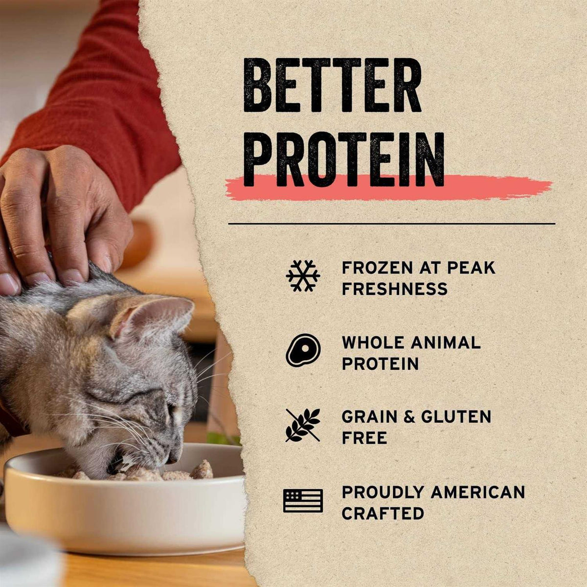 Freeze Dried Raw Rabbit Cat Food Mini Patties T652