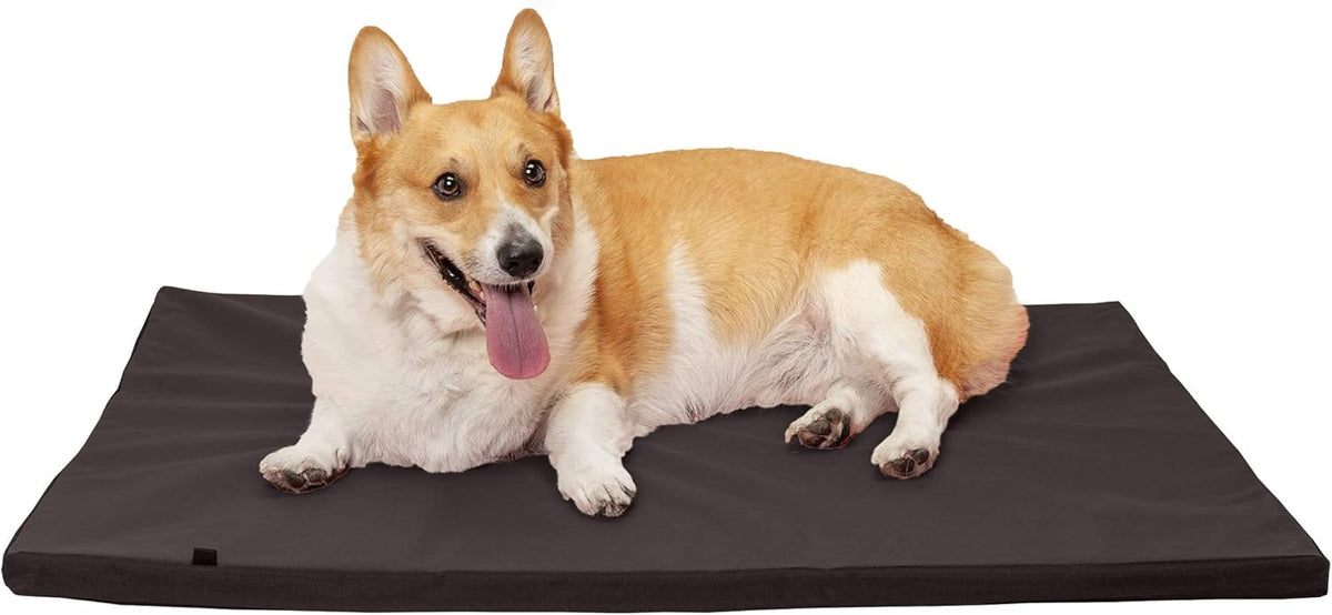 Water-Resistant Reversible Two-Tone Pet Bed Mat D57482