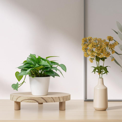 2 Pcs Wood Plant Stand Round Riser Flower Pot Holder C19978