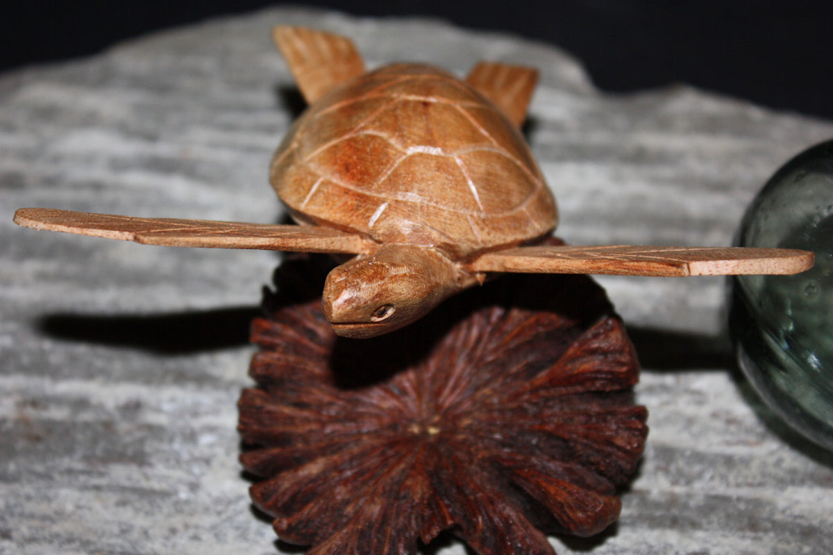 Carved Sea Turtle with Driftwood Base M837693