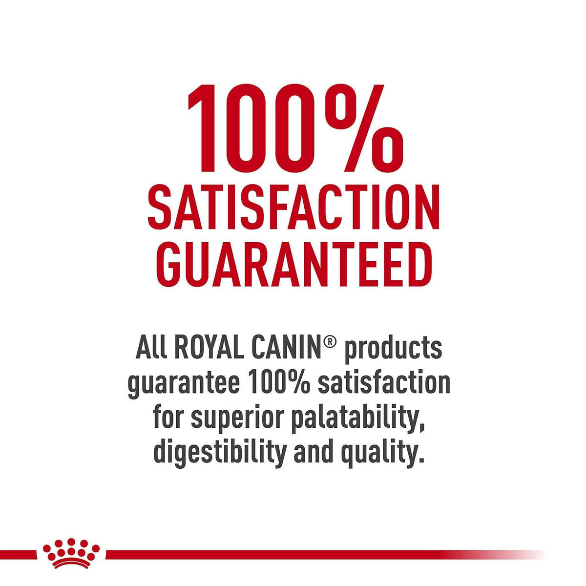 French Bulldog Puppy Dry Dog Food H875481