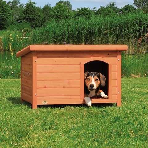Small Weatherproof Dog House C1150