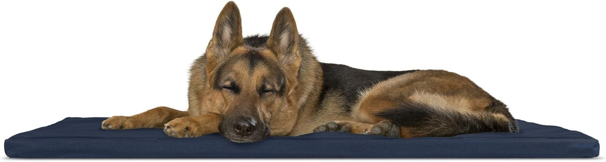 Water-Resistant Reversible Two-Tone Pet Bed Mat D57482