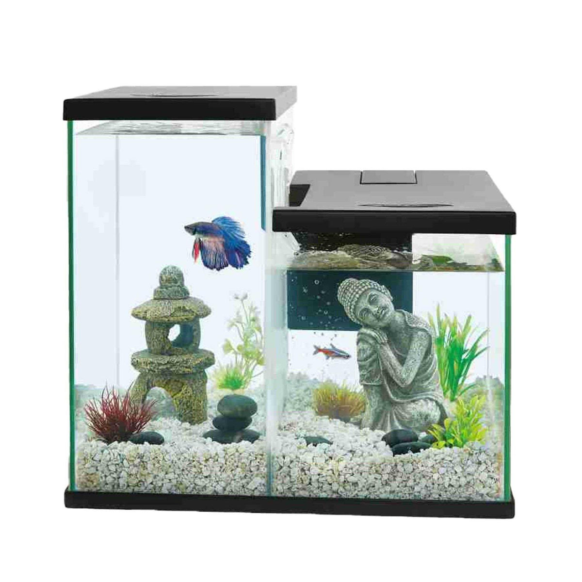 Betta Waterfall Dual Aquarium Tank Q812
