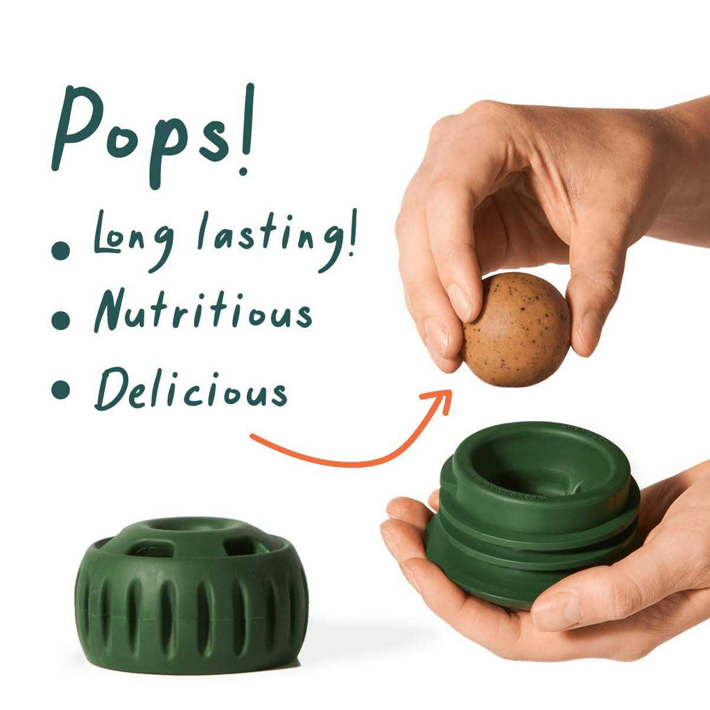 Pupsicle Starter Pack Treat I14366