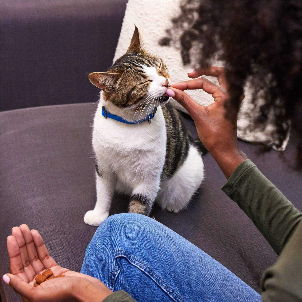 Crunchy Cat Treats V929