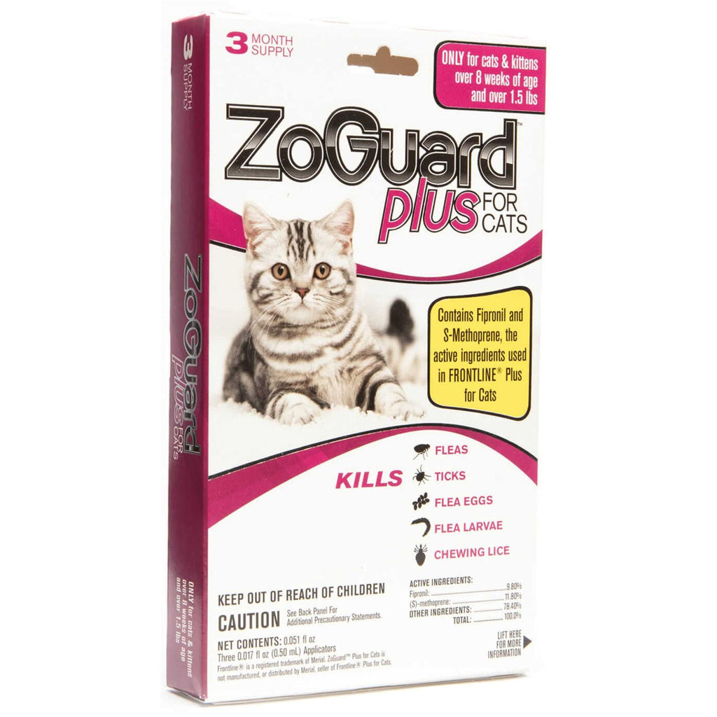 Cat Pet Supplies X584