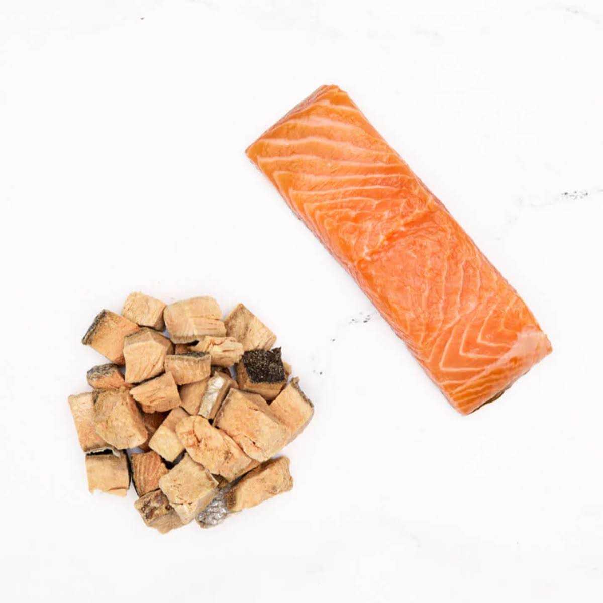 Salmon Treats O744155
