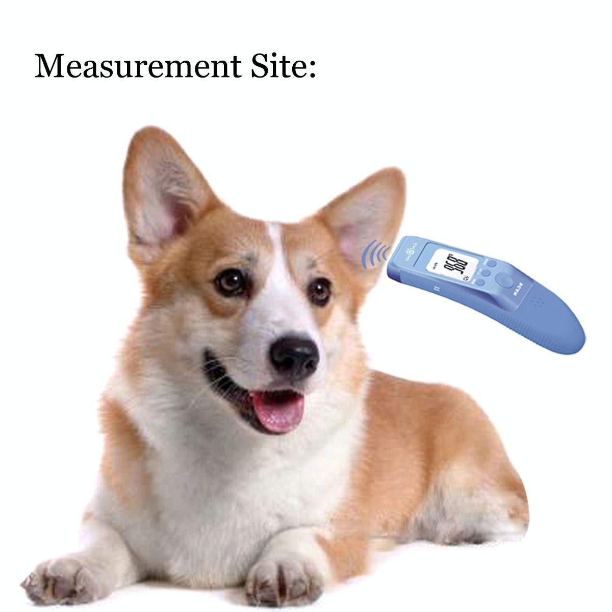 Fast Clinical Pet Thermometer Pack of 2 N35558