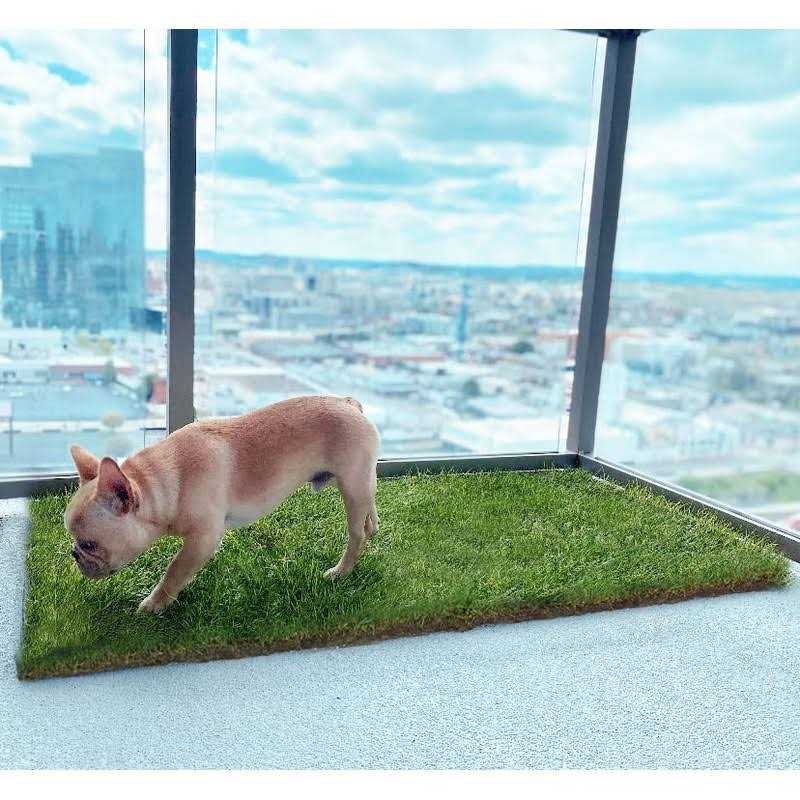 Real Grass Dog Potty T909556