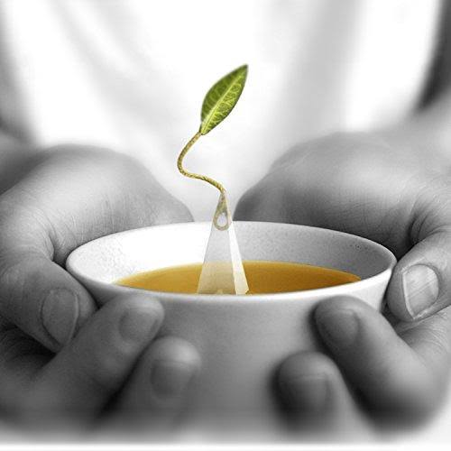Raspberry Nectar Herbal Tea Z8665