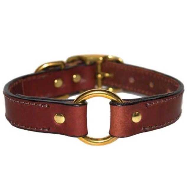 Leather Dog Collar with Nameplate G616