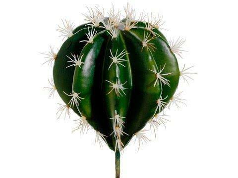 Green 6 Pieces Cactus Pick M5122