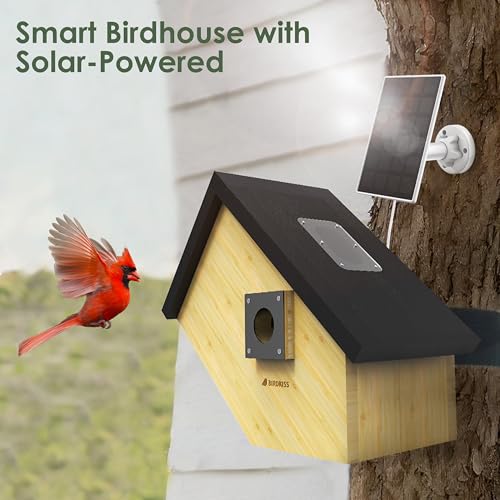 Black Solar Powered Birdhouse with Camera W47919