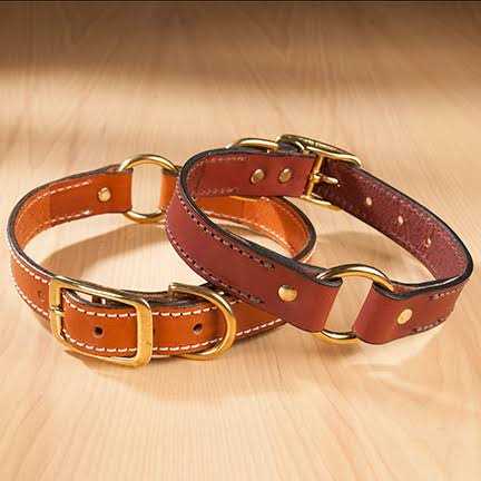 Leather Dog Collar with Nameplate G616