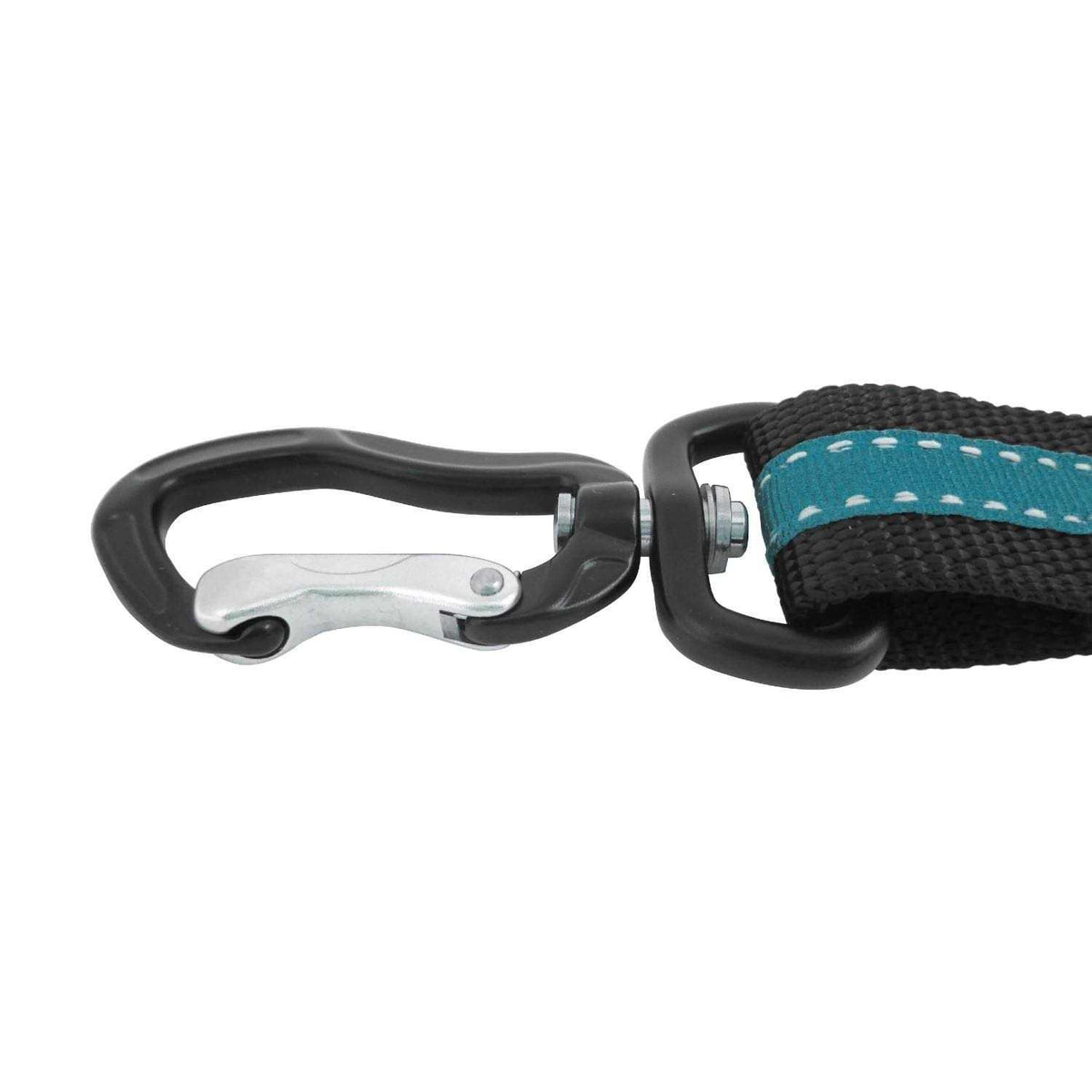 Dog Tether H812