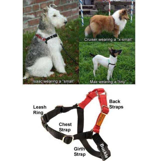 Dog Harness Z834761