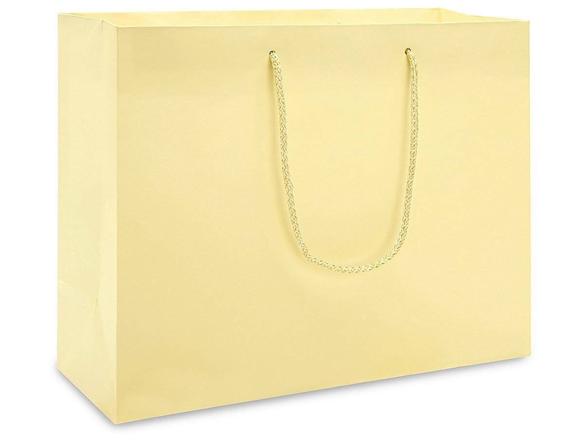 Matte Laminate Shopping Bags 13 x 5 x 10 B999